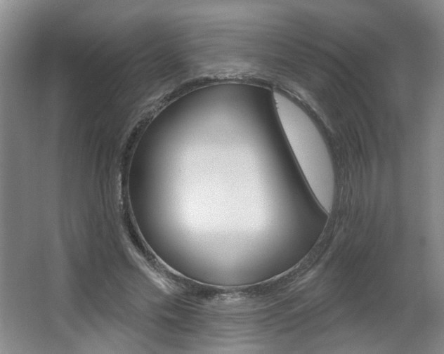 X0000067370589200603310956