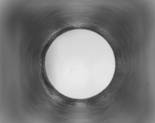 X0000067370592200603310956