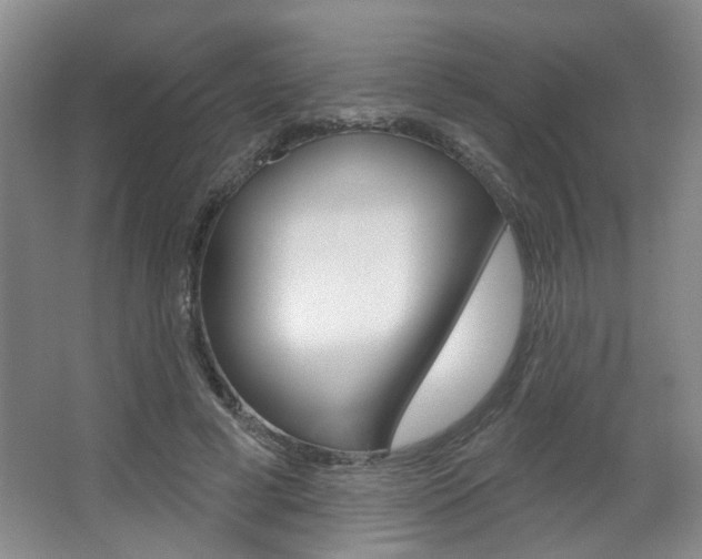 X0000067370593200603310956