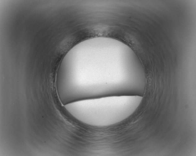 X0000067370594200603310956