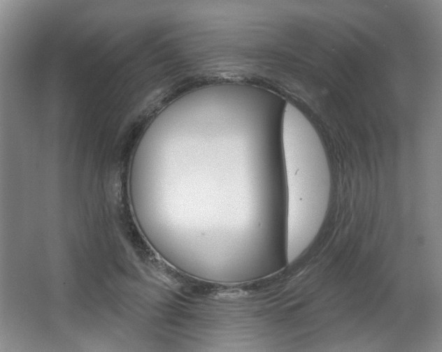 X0000067370595200603310956