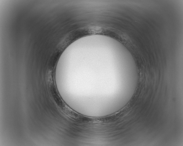 X0000067370598200603310956