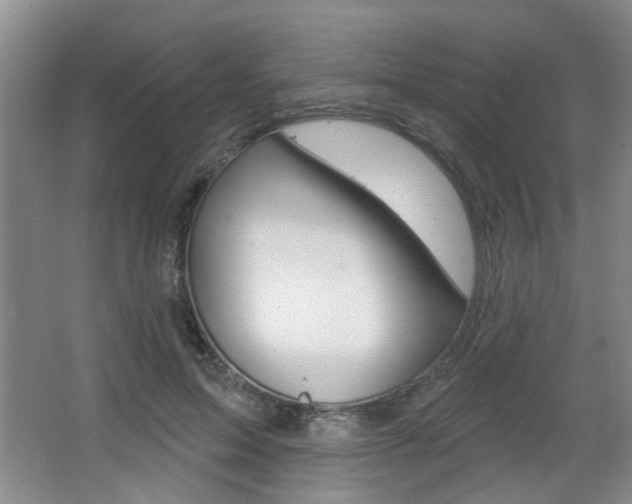 X0000067370599200603310956