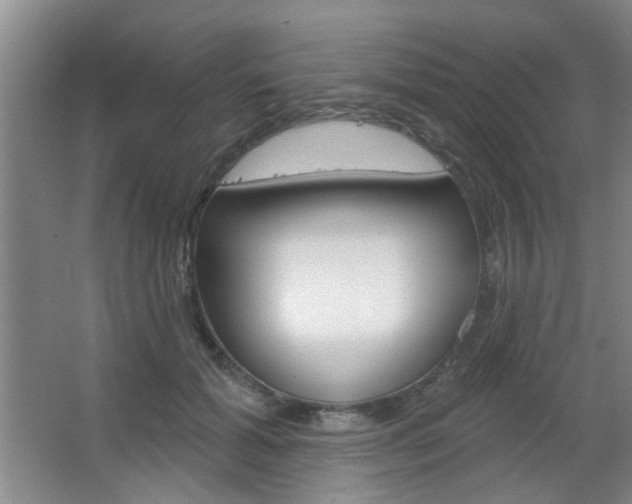 X0000067370605200603310956