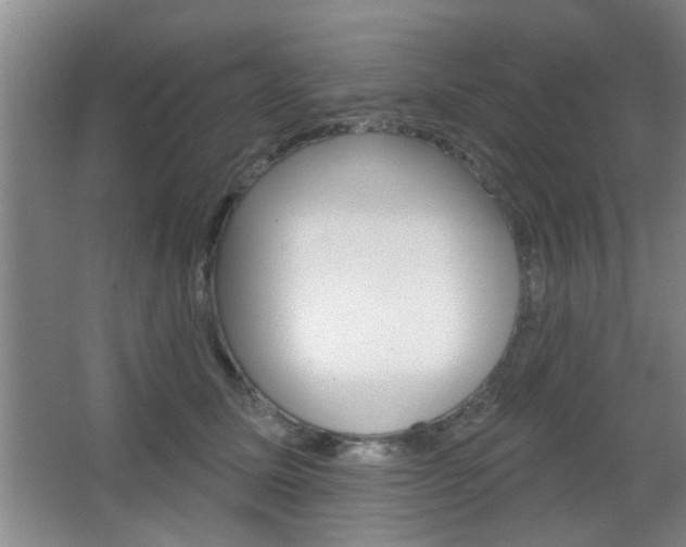 X0000067370611200603310956