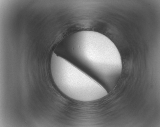X0000067370612200603310956