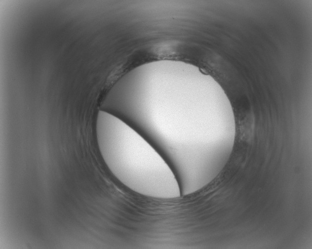 X0000067370618200603310956