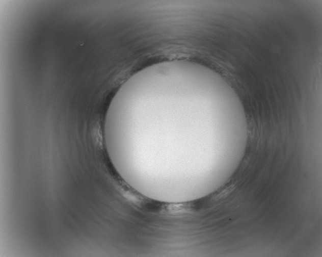 X0000067370622200603310956