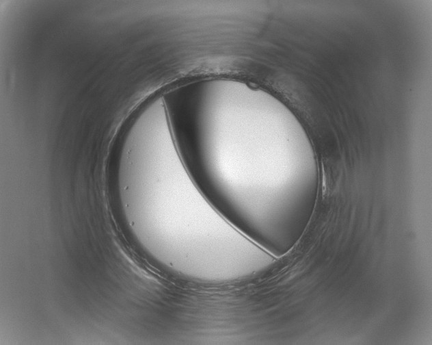 X0000067370627200603310955