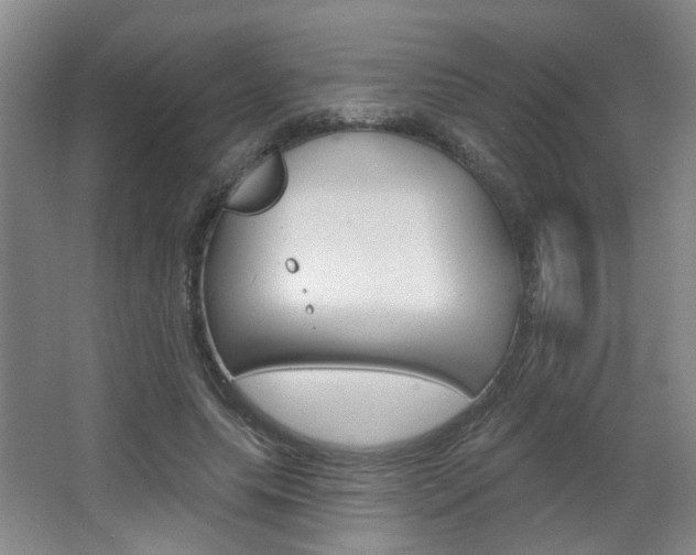 X0000067370639200603310955