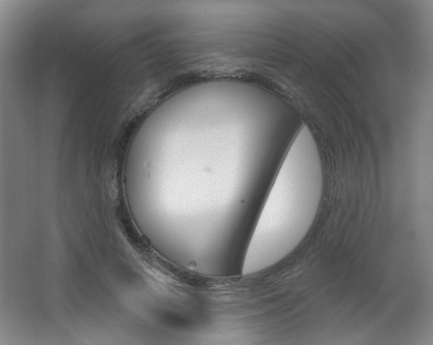 X0000067370642200603310955