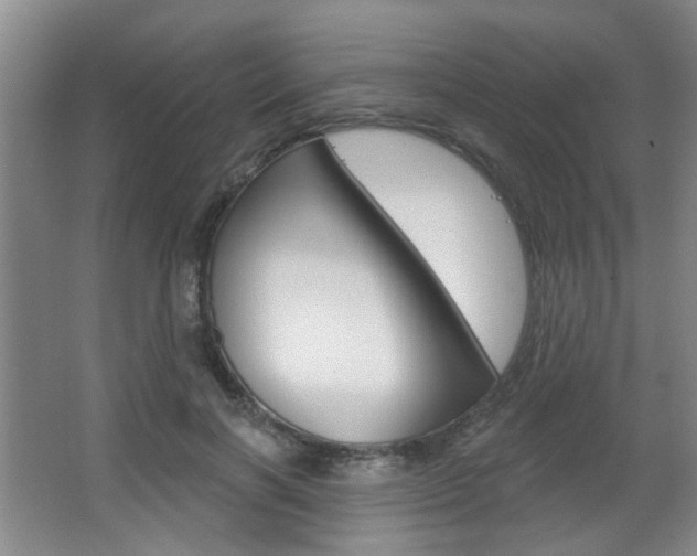 X0000067370646200603310955