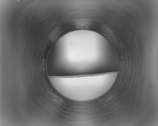 X0000067370649200603310955
