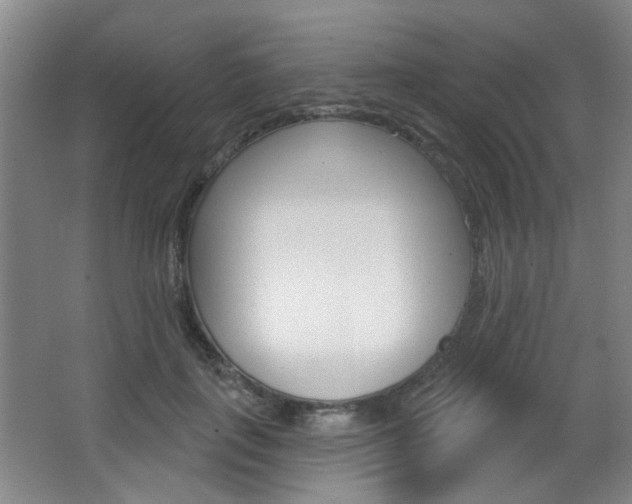 X0000067370651200603310956