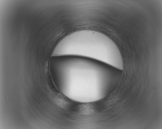 X0000067370652200603310956