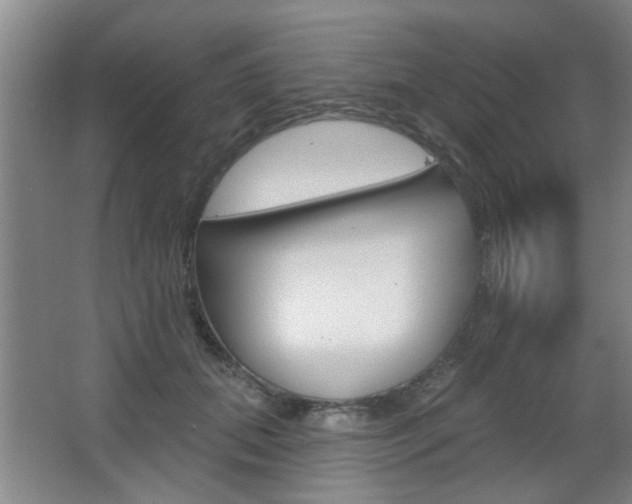 X0000067370655200603310956