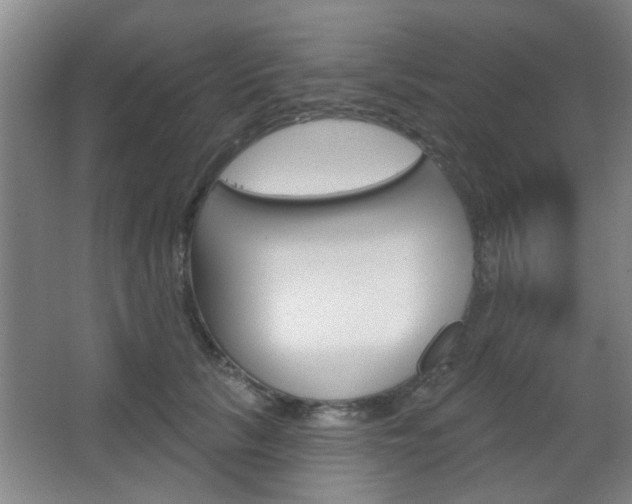 X0000067370657200603310956