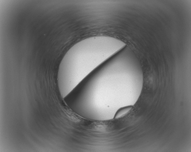 X0000067370658200603310956