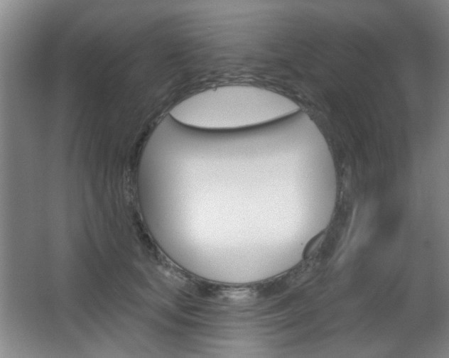 X0000067370659200603310956