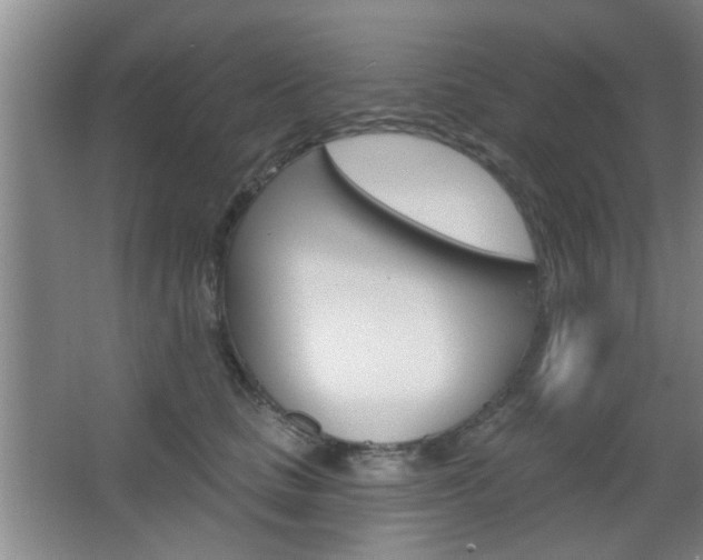 X0000067370661200603310956
