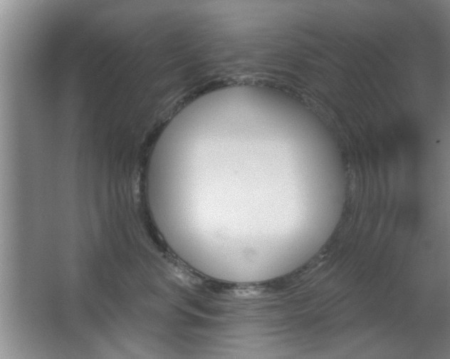 X0000067370668200603310956