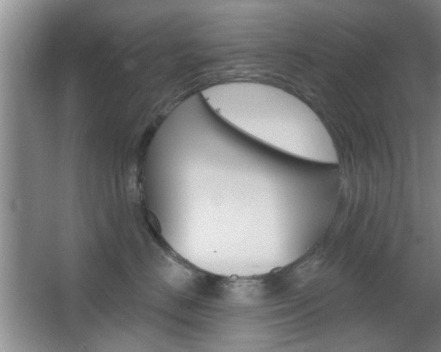 X0000067370670200603310956