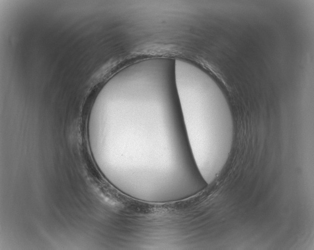 X0000067370682200603310955