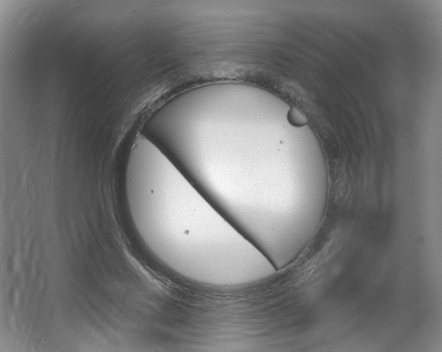 X0000067370683200603310955