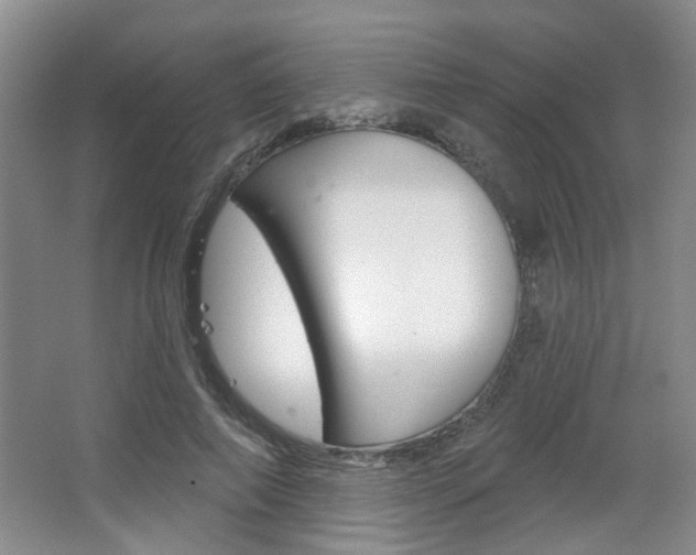 X0000067370690200603310955