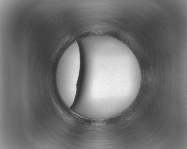 X0000067370694200603310955