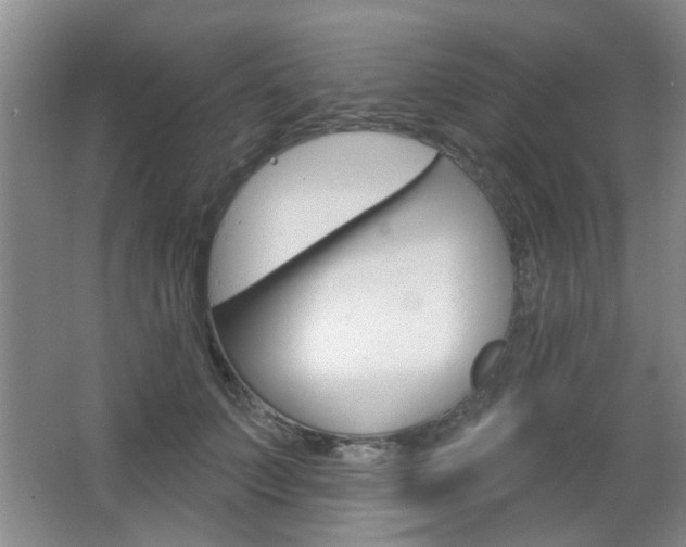 X0000067370703200603310955