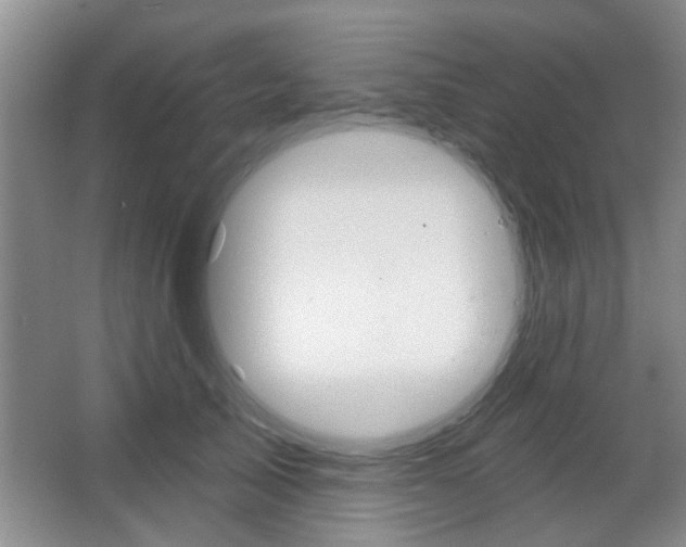 X0000067370705200603310955
