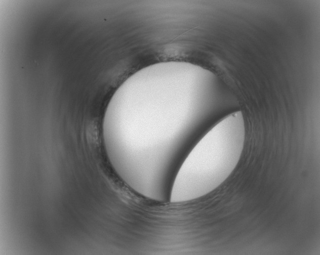 X0000067370715200603310954