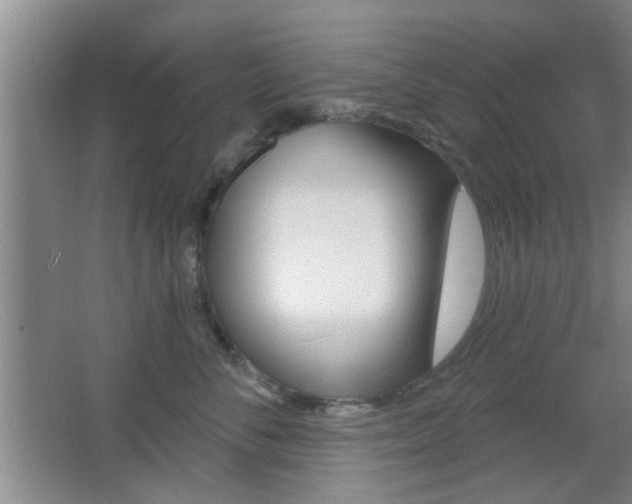 X0000067370716200603310954