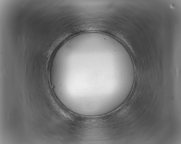 X0000067370721200603310953