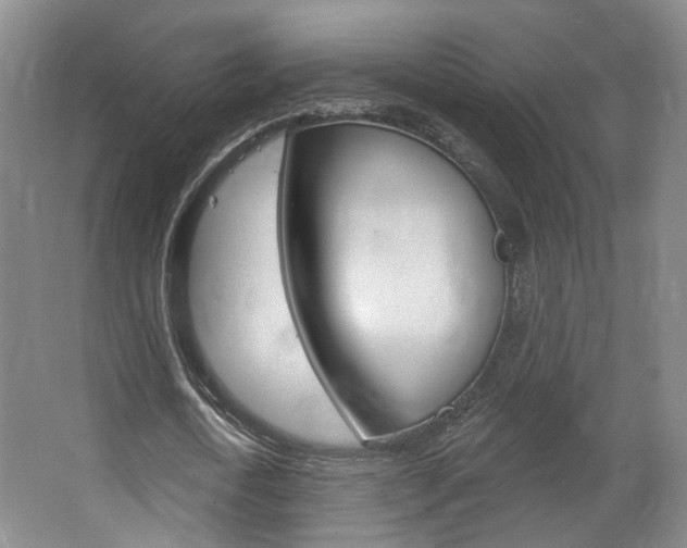 X0000067370722200603310953