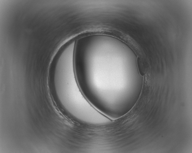 X0000067370724200603310954