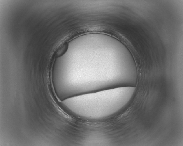 X0000067370725200603310954