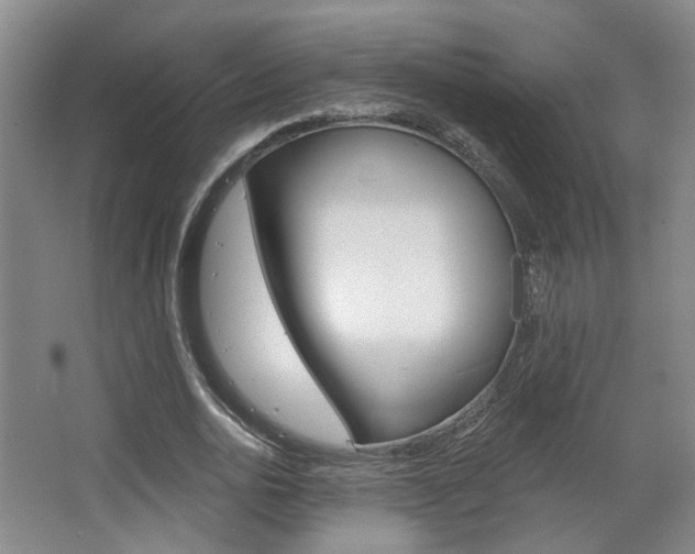 X0000067370726200603310954
