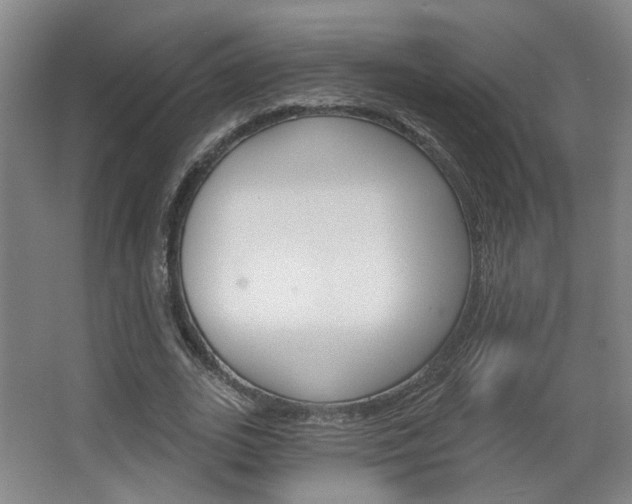 X0000067370727200603310954
