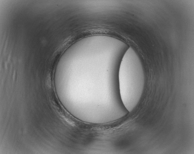 X0000067370729200603310954