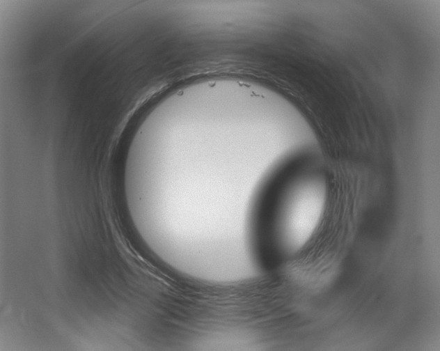 X0000067370731200603310954