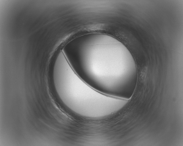 X0000067370732200603310954