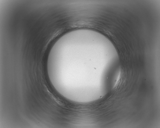 X0000067370735200603310954