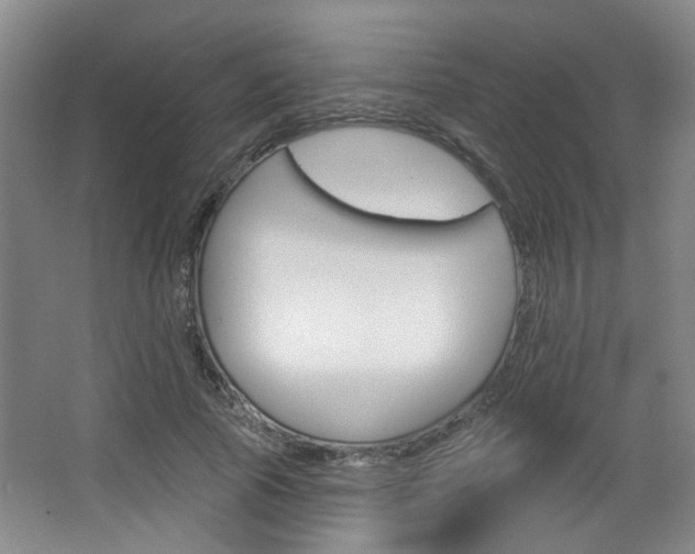 X0000067370737200603310954