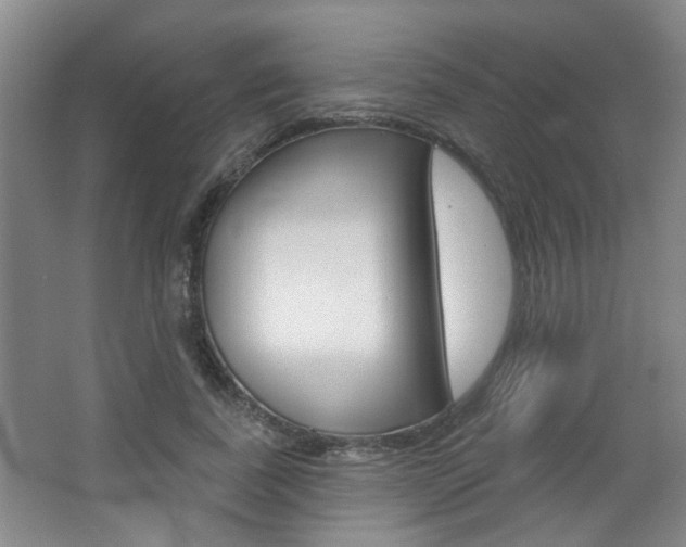 X0000067370739200603310954
