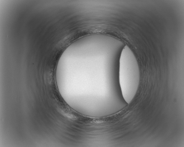 X0000067370741200603310954