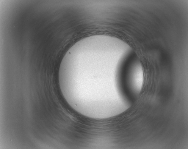 X0000067370750200603310954