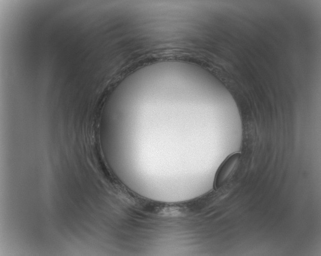 X0000067370751200603310954