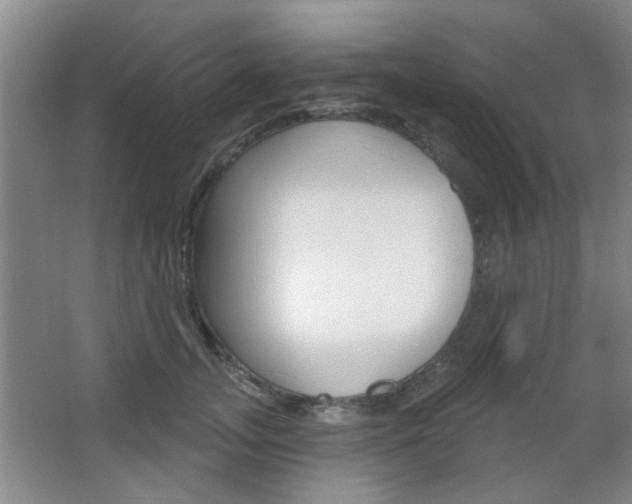 X0000067370755200603310954